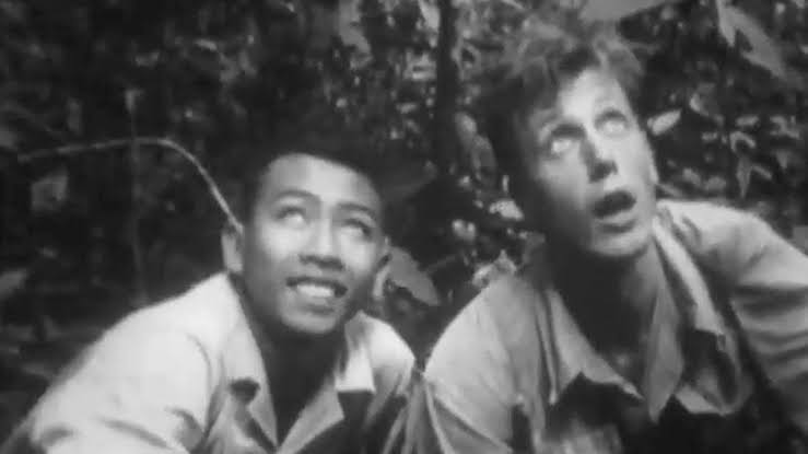 photo-David Attenborough 1946