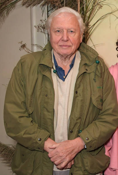 photo-David Attenborough 2019