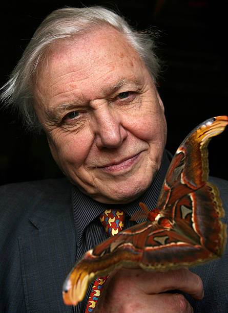 photo-David Attenborough 2008