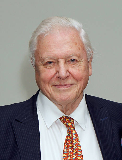 photo-David Attenborough 2013