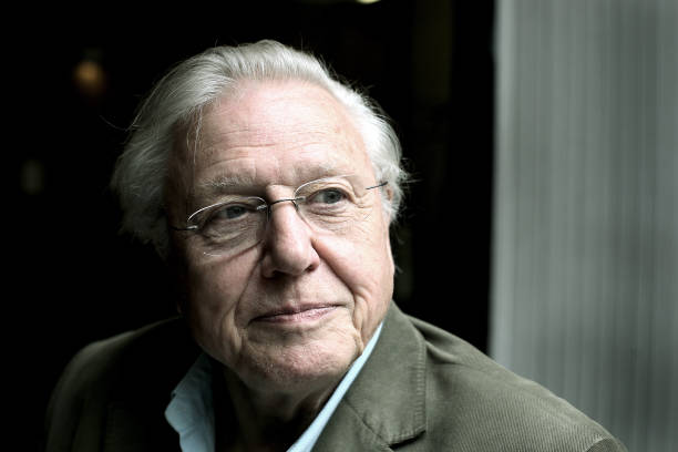 photo-David Attenborough 2011
