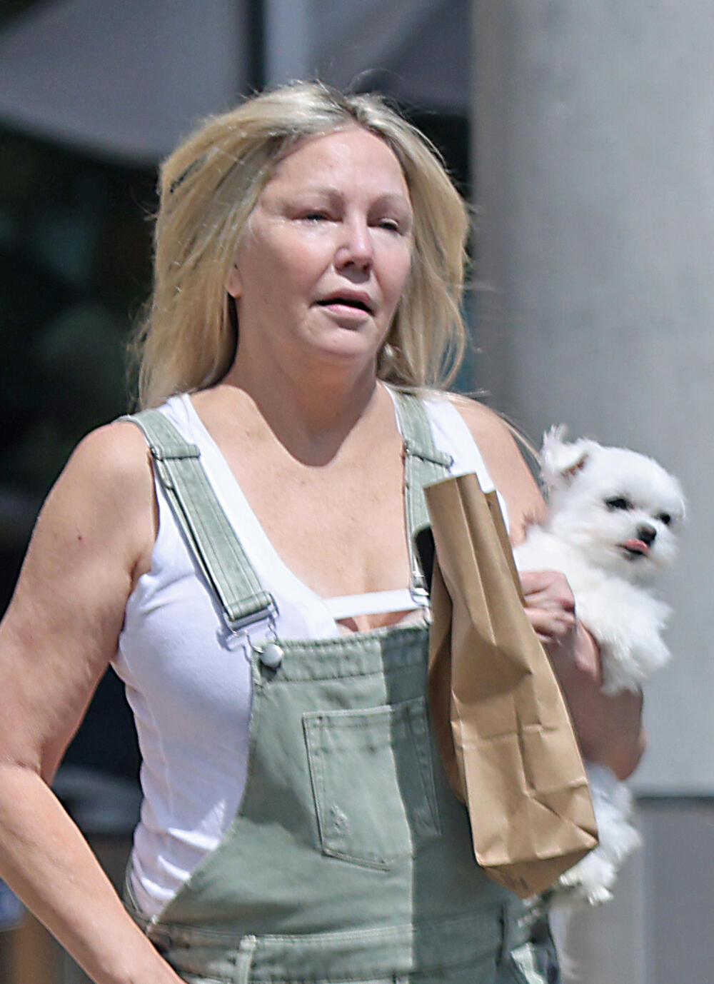 photo-Heather Locklear 2022