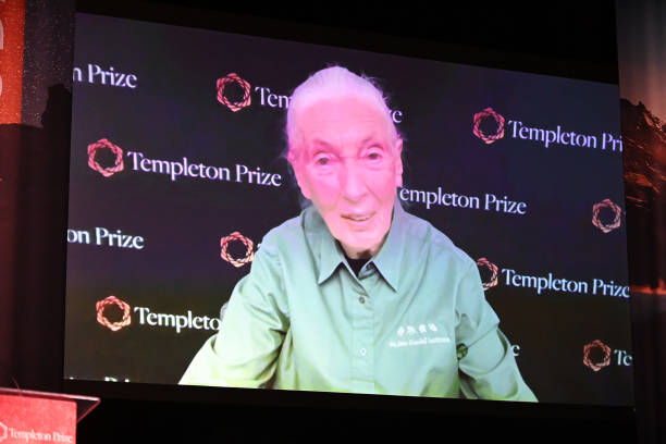 photo-Jane Goodall 2021