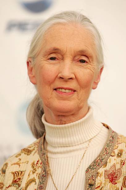photo-Jane Goodall 2007