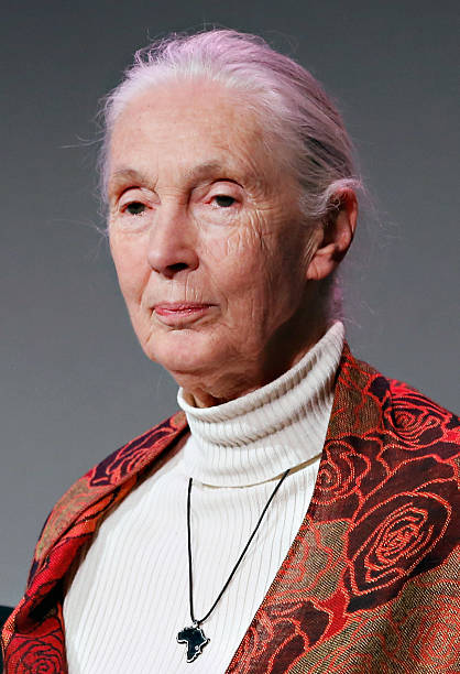 photo-Jane Goodall 2014