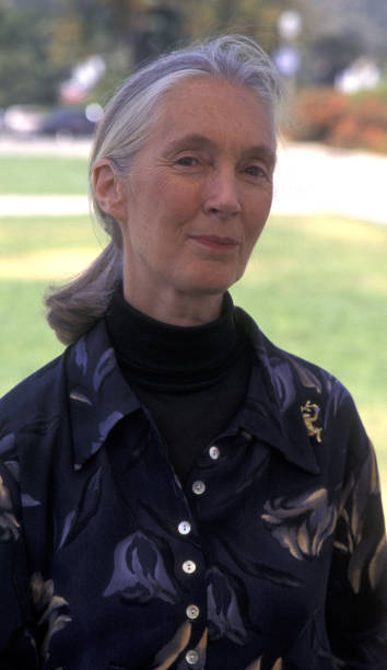 photo-Jane Goodall 1996