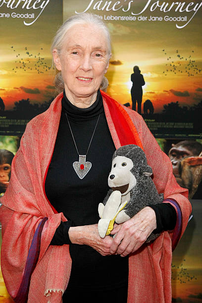 photo-Jane Goodall 2010