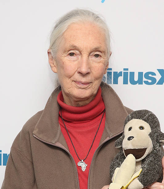 photo-Jane Goodall 2015