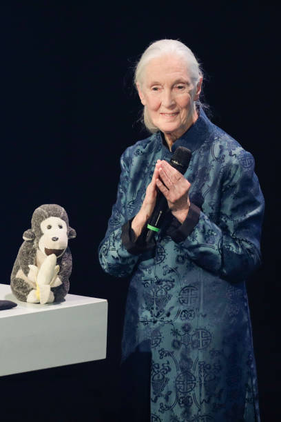 photo-Jane Goodall 2017