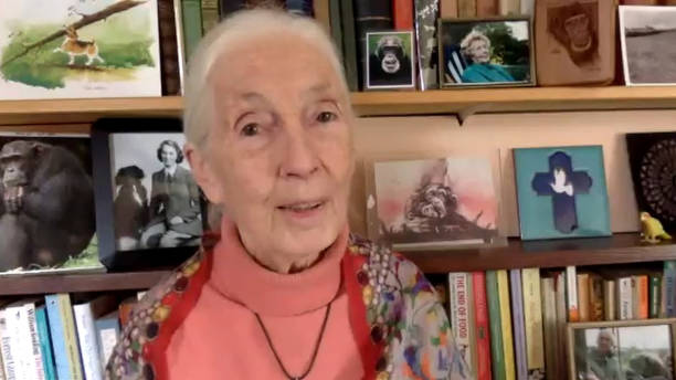photo-Jane Goodall 2020