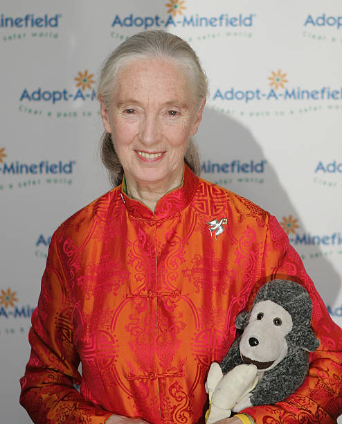 photo-Jane Goodall 2005
