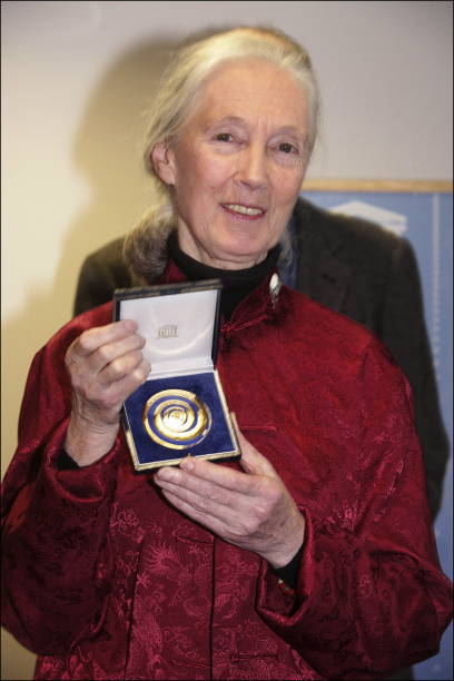 photo-Jane Goodall 2006