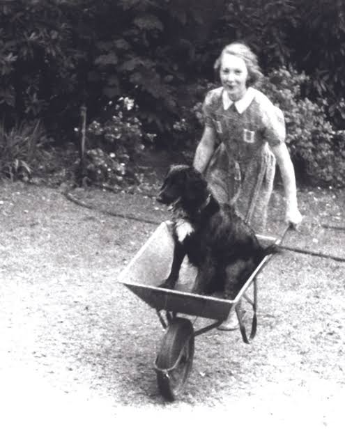 photo-Jane Goodall 1960