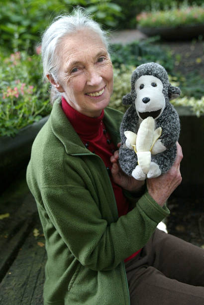 photo-Jane Goodall 2002