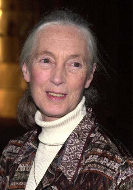 photo-Jane Goodall 2000