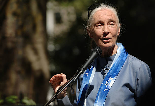 photo-Jane Goodall 2009