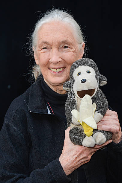 photo-Jane Goodall 2012
