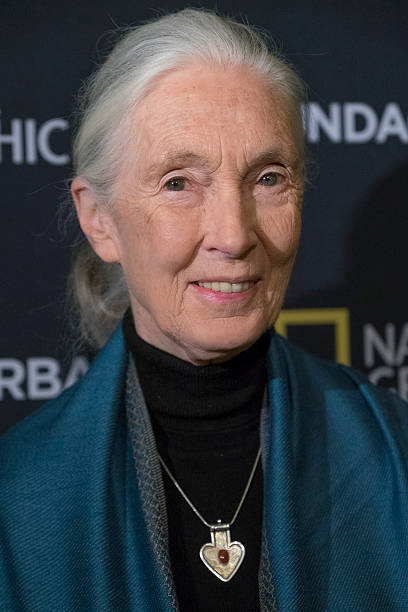 photo-Jane Goodall 2016