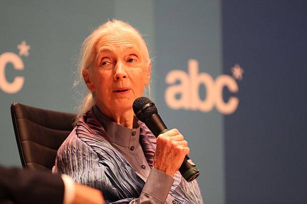 photo-Jane Goodall 2013