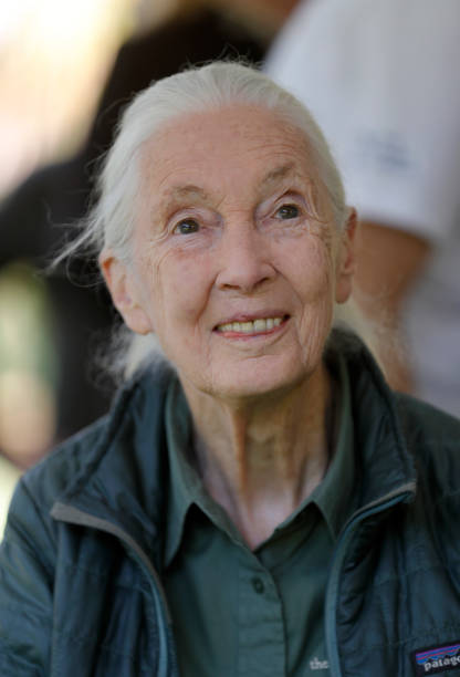 photo-Jane Goodall 2022