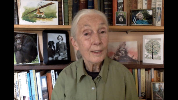 photo-Jane Goodall 2020
