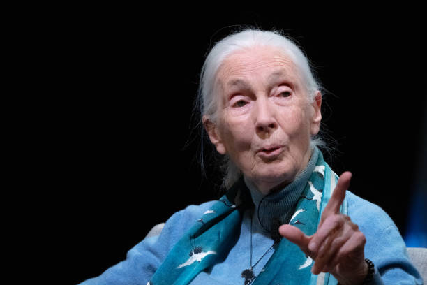 photo-Jane Goodall 2023