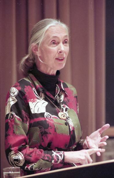 photo-Jane Goodall 1998