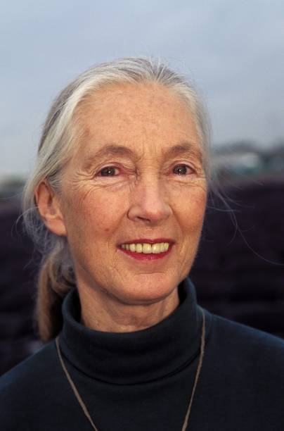 photo-Jane Goodall 1998