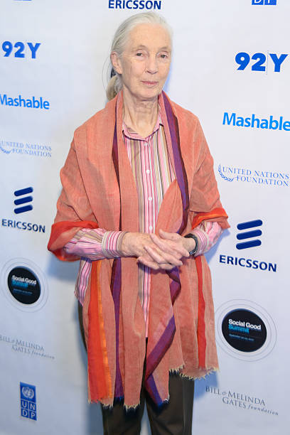photo-Jane Goodall 2012