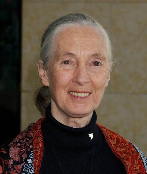 photo-Jane Goodall 2004