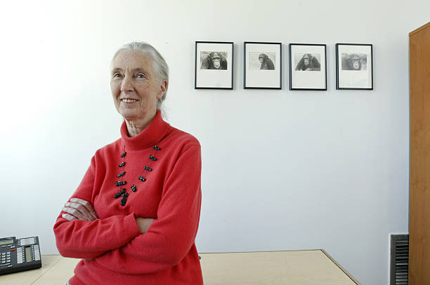 photo-Jane Goodall 2003