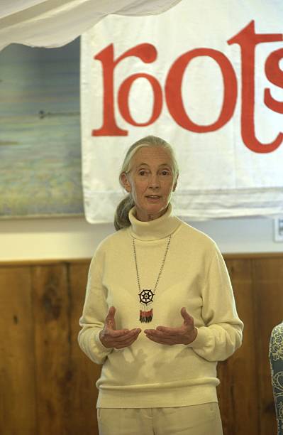 photo-Jane Goodall 2003