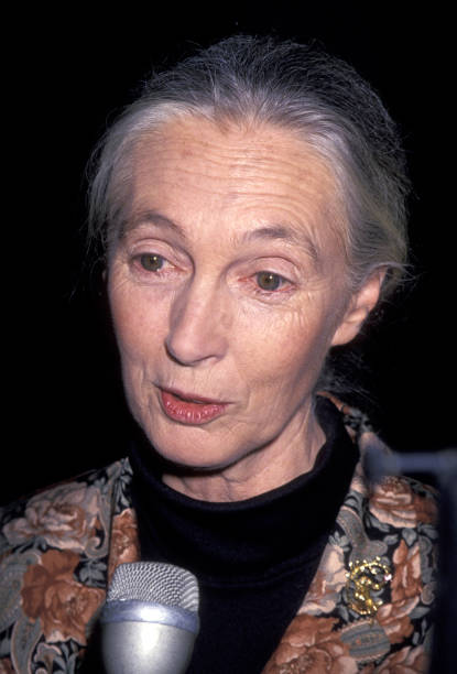 photo-Jane Goodall 1994