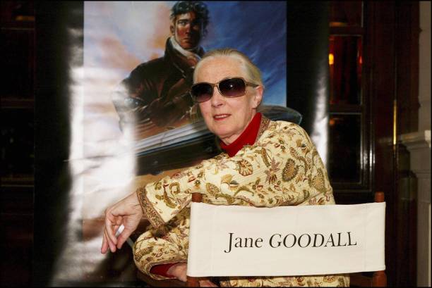 photo-Jane Goodall 2004