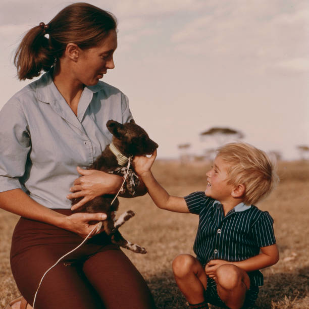 photo-Jane Goodall 1976
