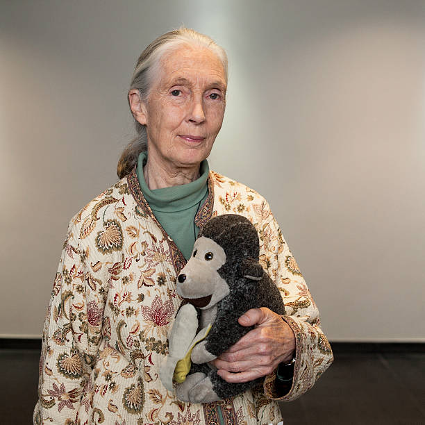 photo-Jane Goodall 2011