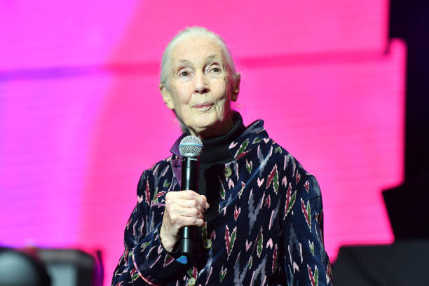 photo-Jane Goodall 2022
