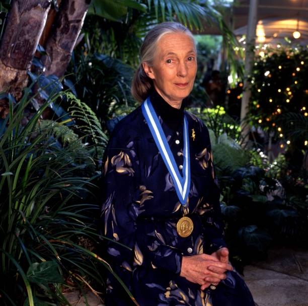 photo-Jane Goodall 1987
