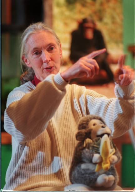 photo-Jane Goodall 1995