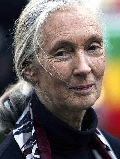 photo-Jane Goodall 2018