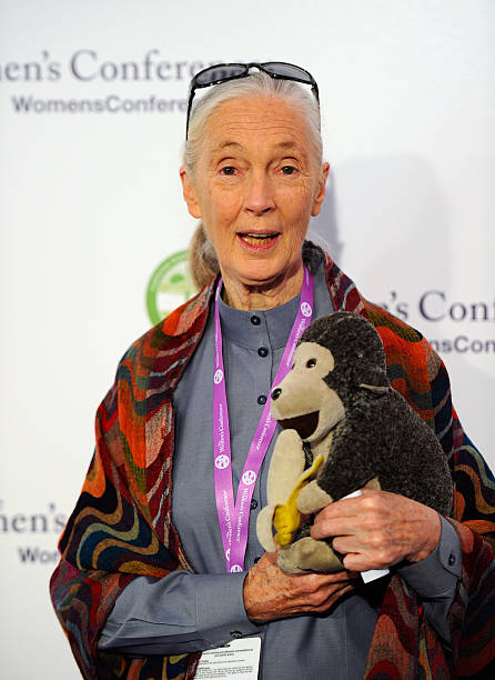 photo-Jane Goodall 2010