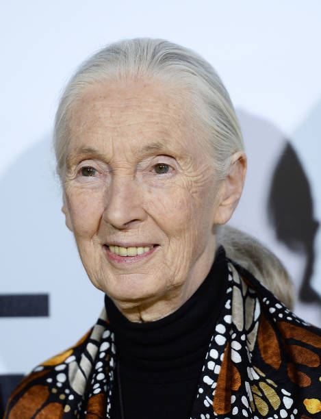 photo-Jane Goodall 2017
