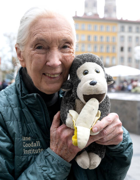 photo-Jane Goodall 2023