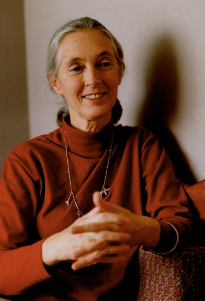 photo-Jane Goodall 1991