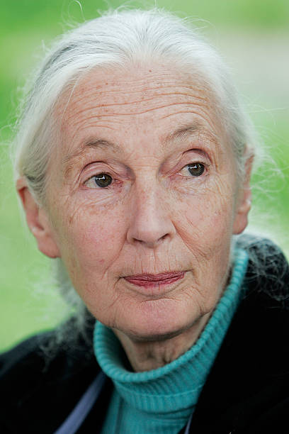 photo-Jane Goodall 2008