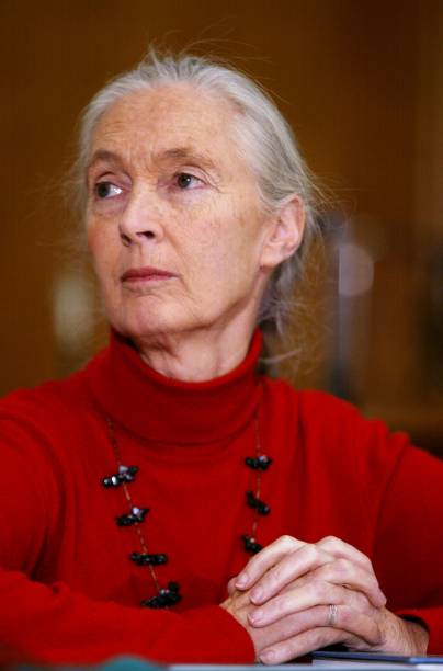 photo-Jane Goodall 2002