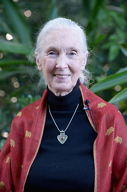 photo-Jane Goodall 2016