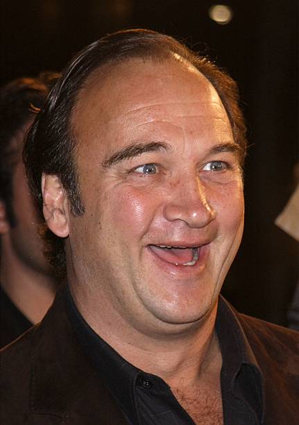 photo-Jim Belushi 2001
