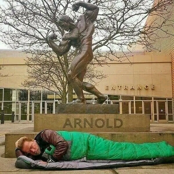 photo-Arnold Schwarzenegger 2016