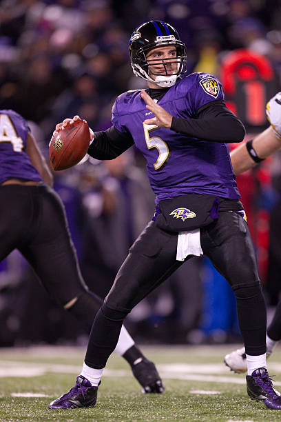 photo-Joe Flacco 2010